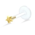Star Shaped Labret Silver LA-187